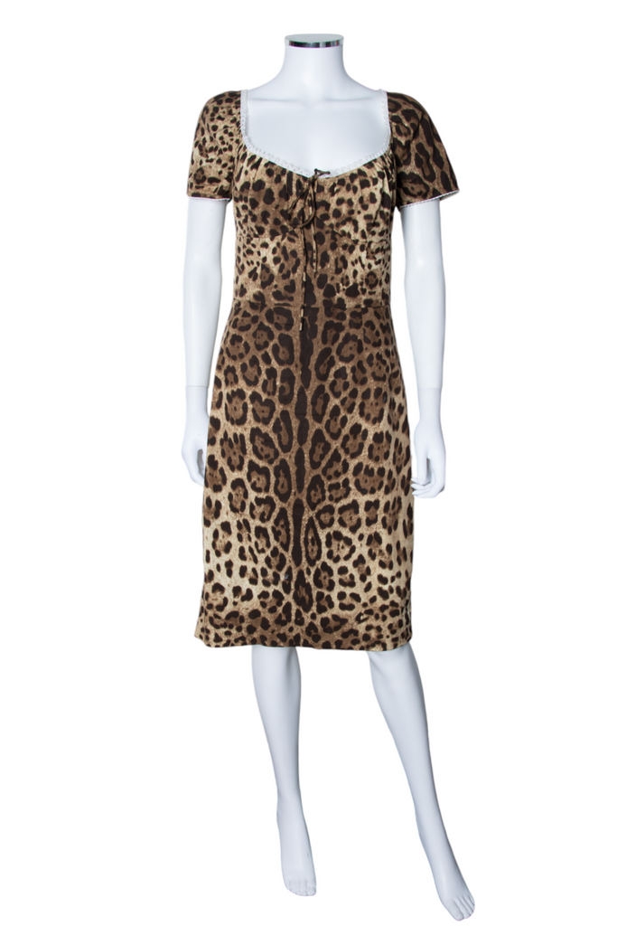 Dolce and Gabbana Animal Print Dress - irvrsbl