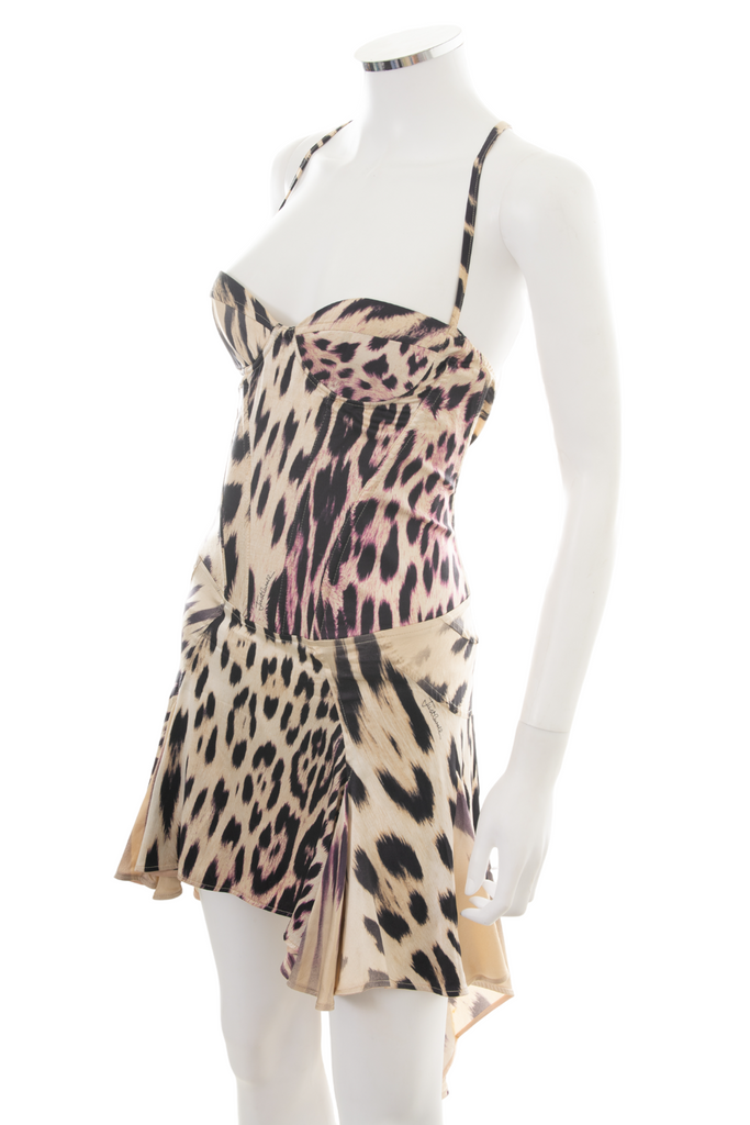 Roberto Cavalli Animal Print Bustier Dress - irvrsbl