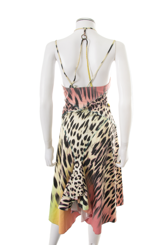 Roberto Cavalli Leopard Bustier Dress - irvrsbl