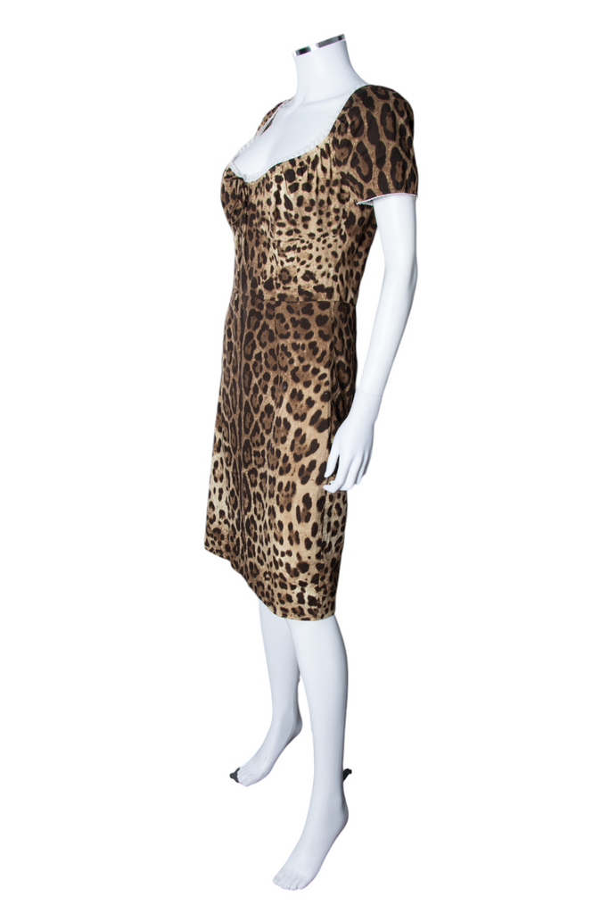 Dolce and Gabbana Animal Print Dress - irvrsbl