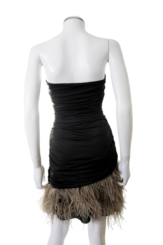 vintage Feather Dress - irvrsbl