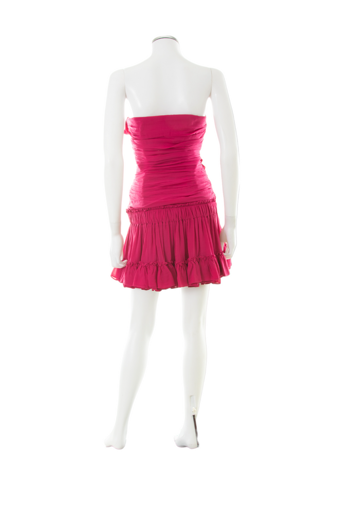 vintage Pink Strapless Dress - irvrsbl