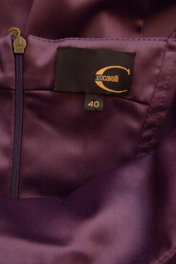 Roberto Cavalli Purple Bustier Dress - irvrsbl