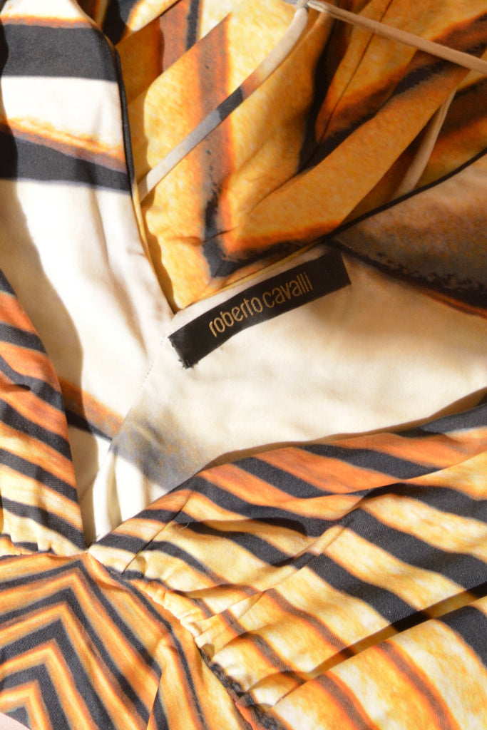 Roberto Cavalli Spring 2007 Flutter Sleeve Dress - irvrsbl