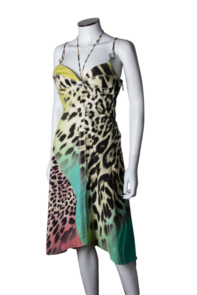 Roberto Cavalli Animal Print Bustier Dress - irvrsbl