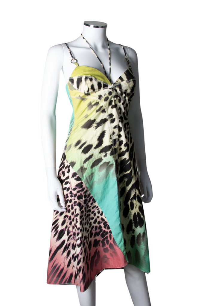 Roberto Cavalli Animal Print Bustier Dress - irvrsbl