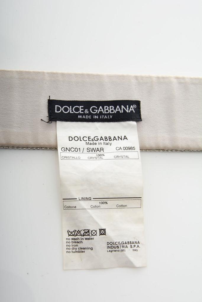 Dolce and Gabbana 2003 Crystal Choker - irvrsbl