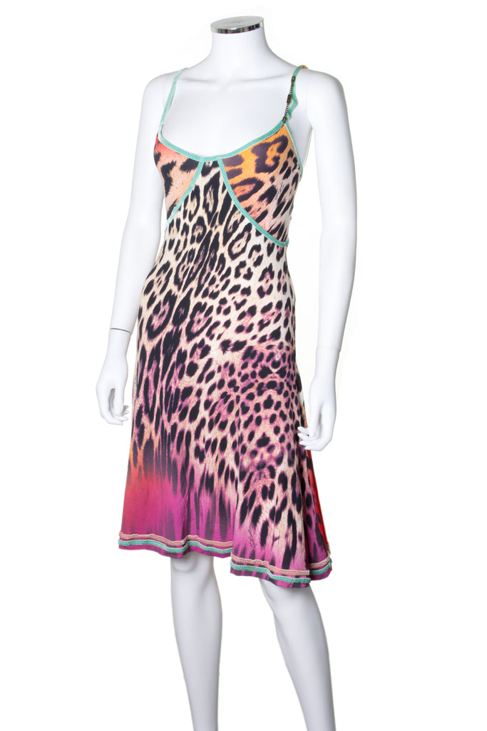 Roberto Cavalli Animal Print Dress - irvrsbl
