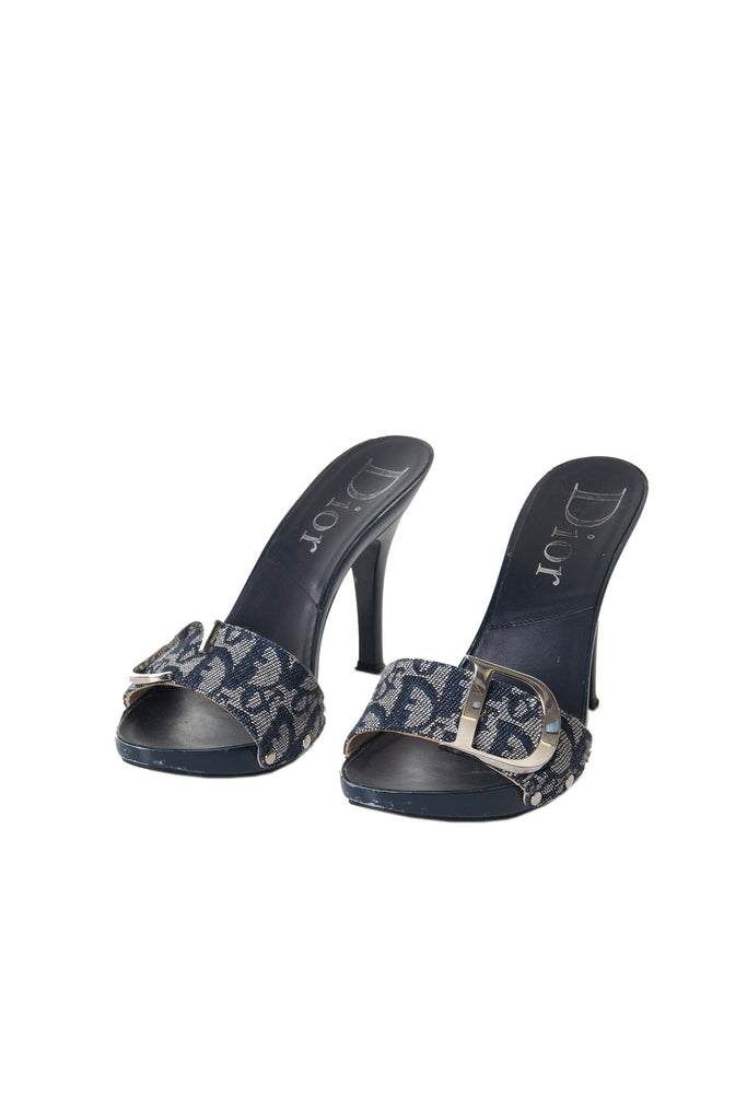 Christian Dior Monogram Heels - irvrsbl