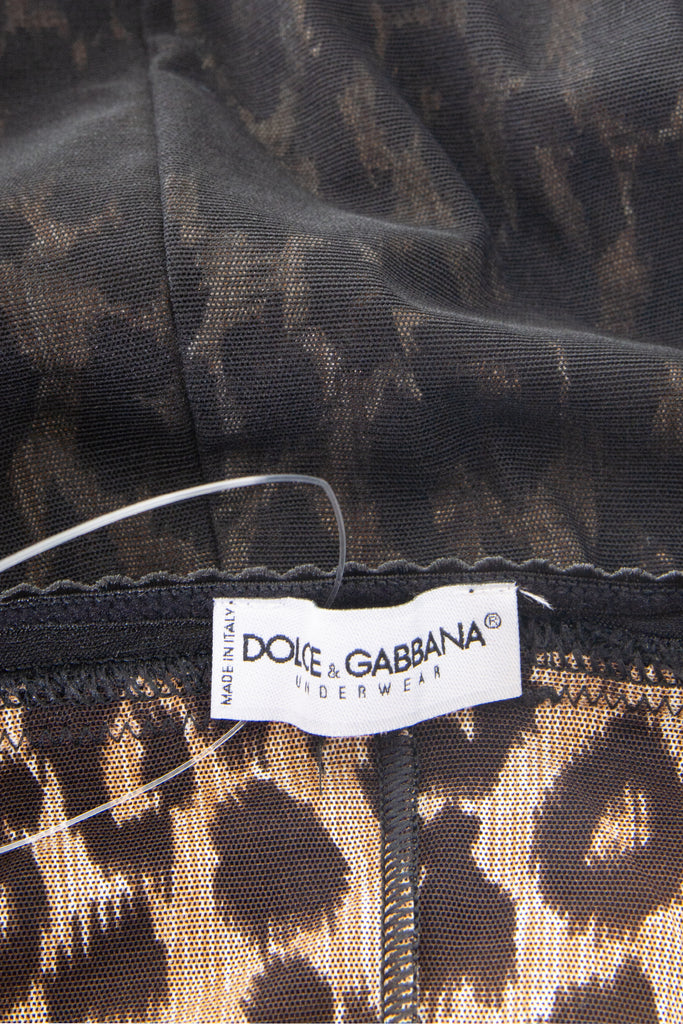 Dolce and Gabbana Sheer Bustier Dress - irvrsbl