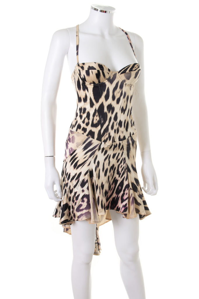 Roberto Cavalli Animal Print Bustier Dress - irvrsbl