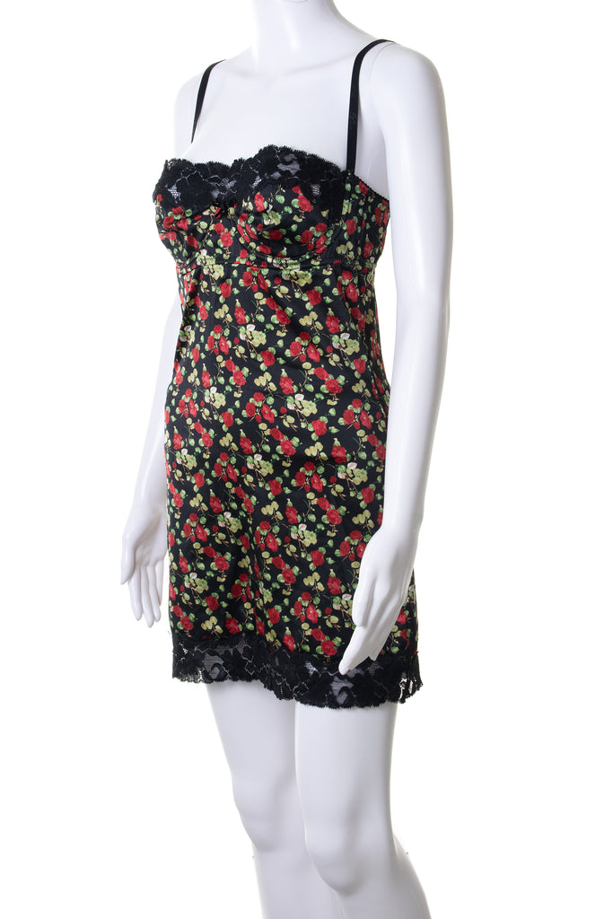 Dolce and GabbanaRose Bustier Dress- irvrsbl