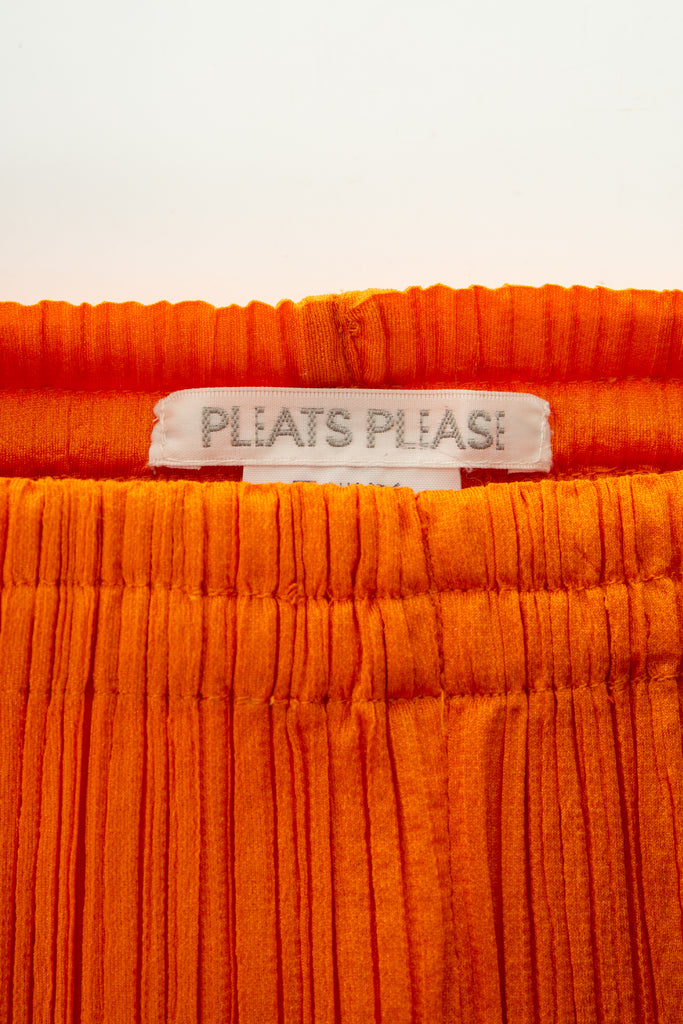 Issey Miyake Pleated Pants in Orange - irvrsbl