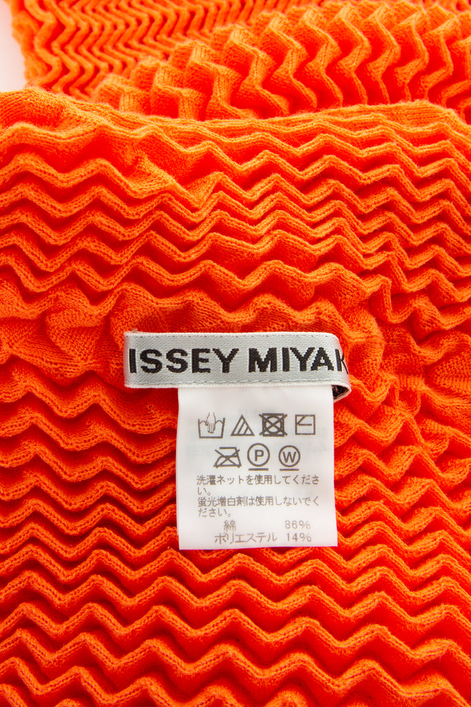 Issey Miyake Popcorn Dress - irvrsbl