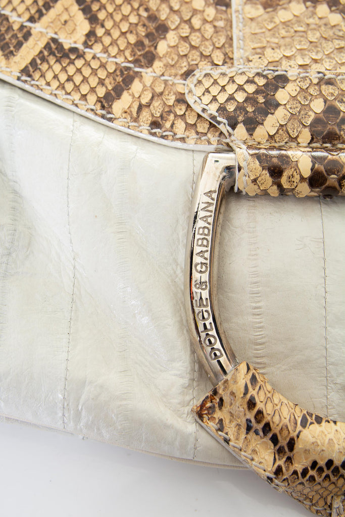 Dolce and Gabbana Python Bag - irvrsbl