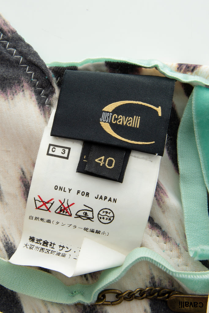 Roberto Cavalli Animal Print Dress - irvrsbl