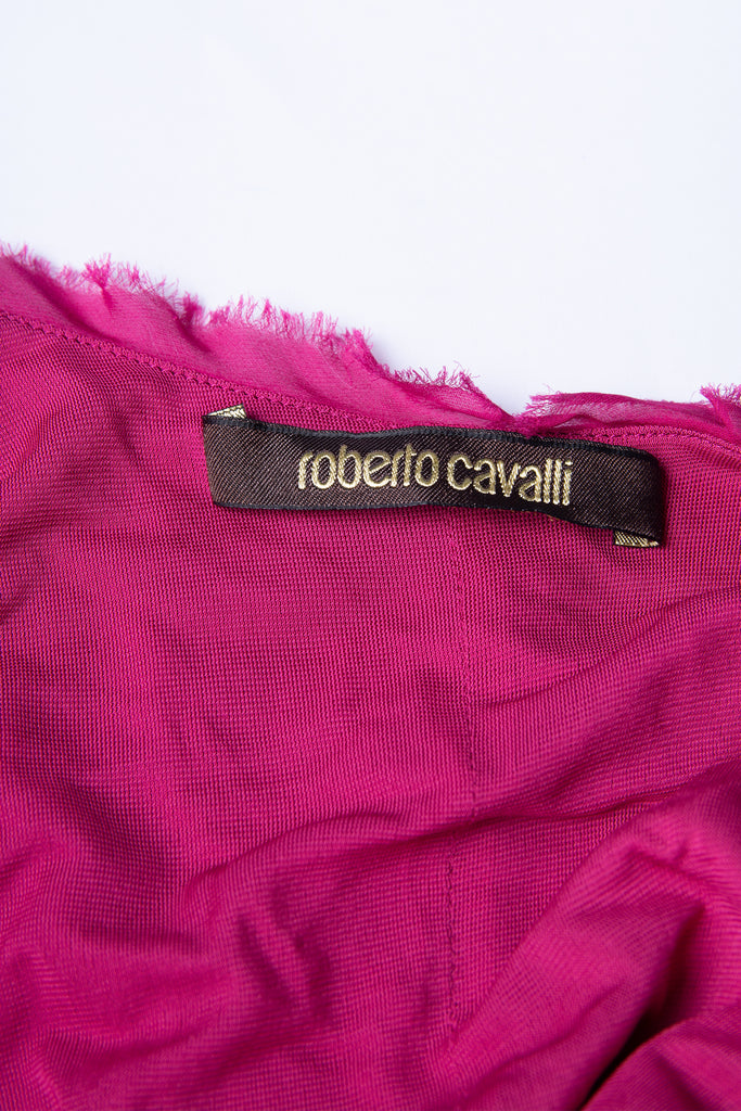 Roberto Cavalli Floor Length Dress - irvrsbl